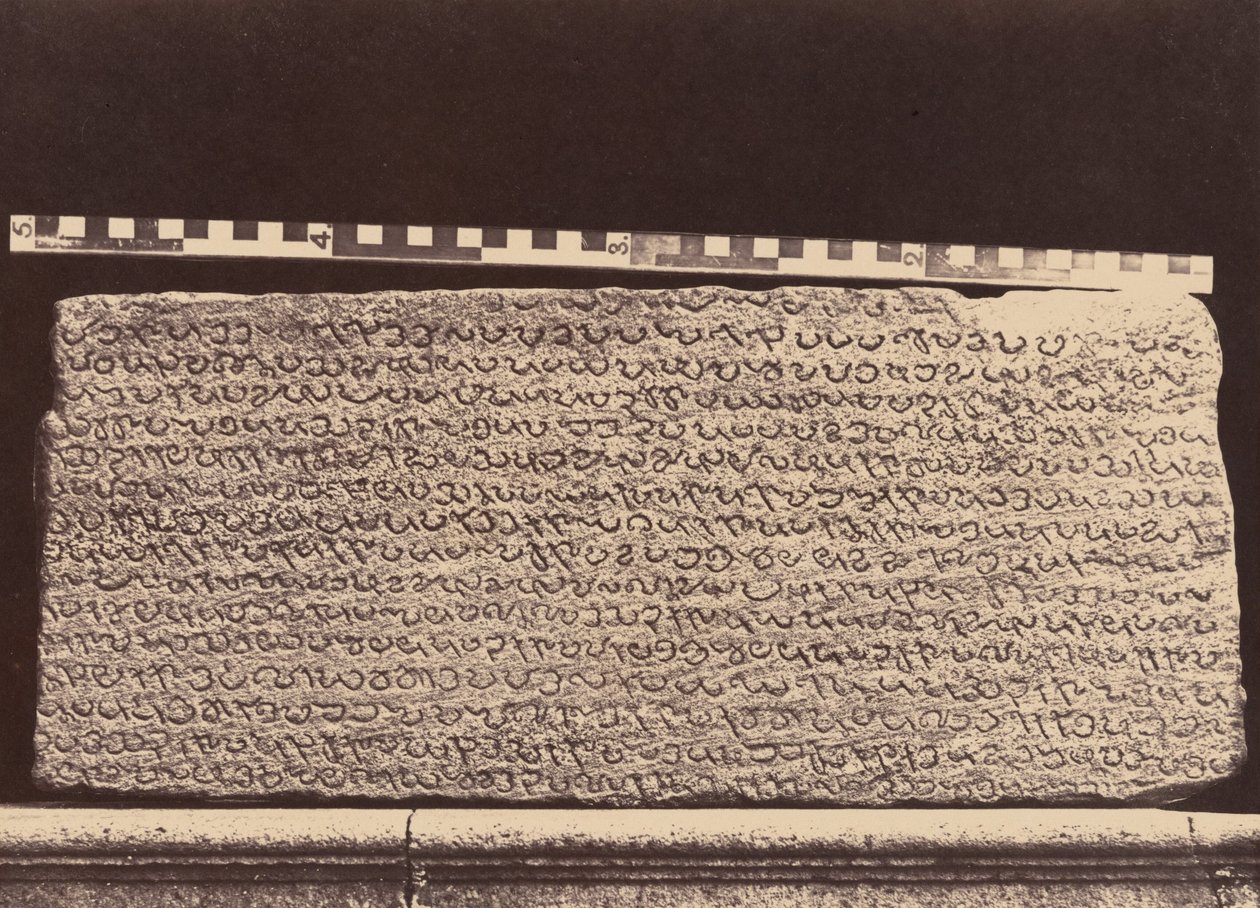 Elliot Marbles, 1859 by Linnaeus Tripe
