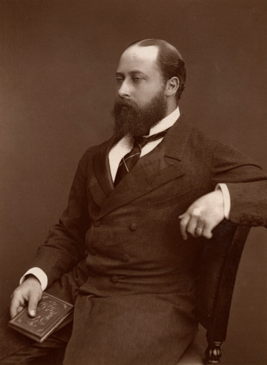 HRH the Prince of Wales, 1876 by Lock and Whitfield