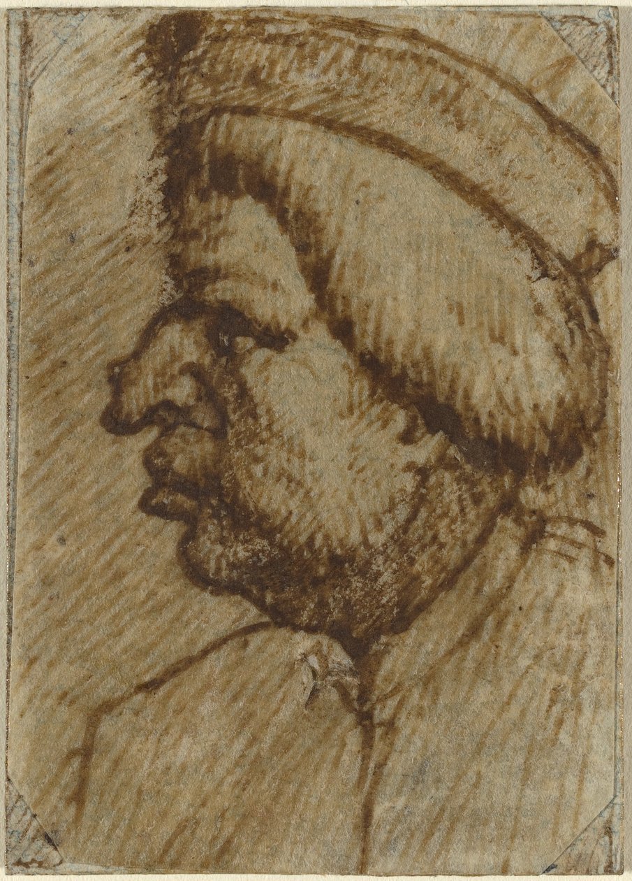 Profile of a Man by Lombard 16th Century