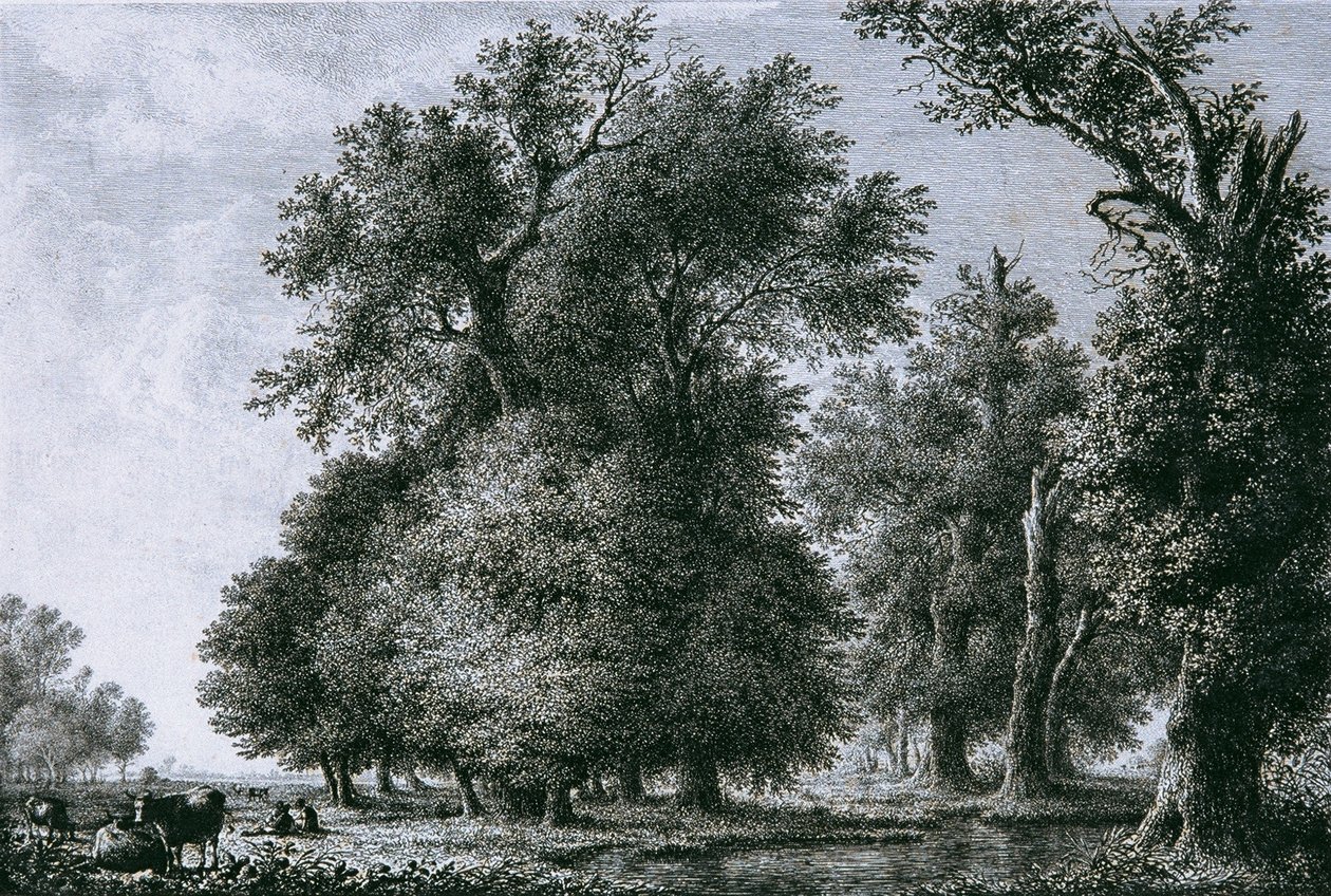 Landscape with Oaks by Lorenz Adolf Schönberger