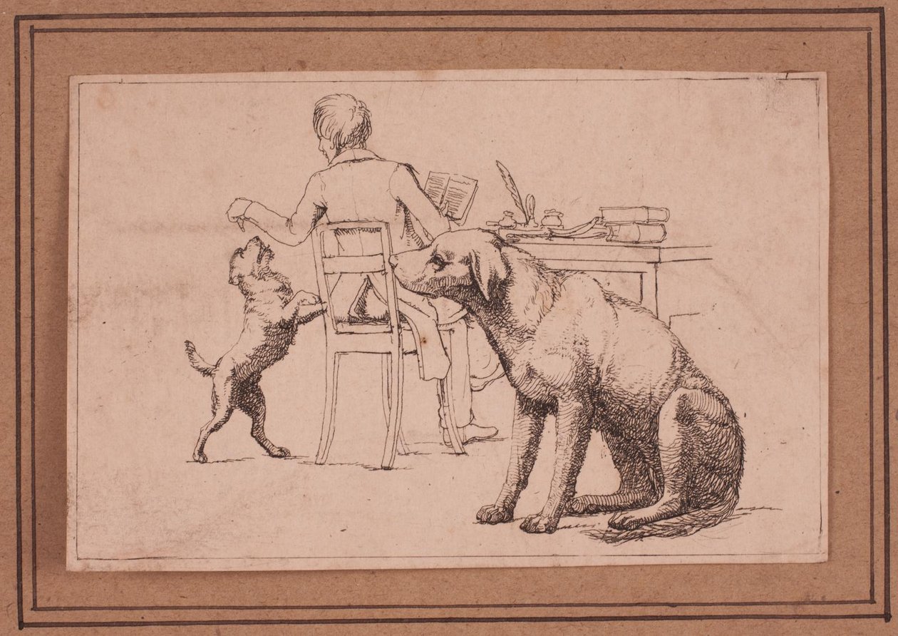 Picture 7 from A Dog