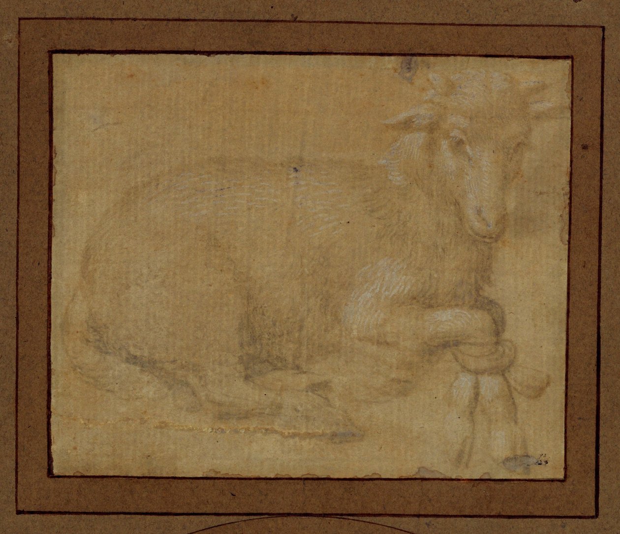 Study of a Lamb by Lorenzo di Credi