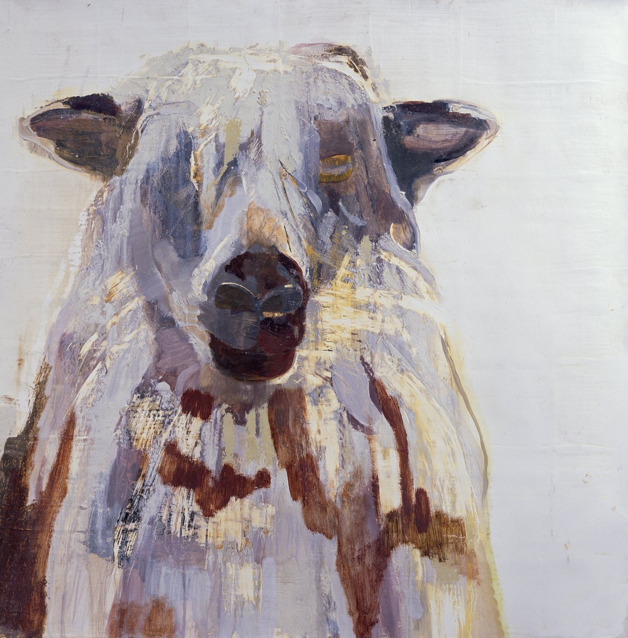 Sheep by Lou Gibbs