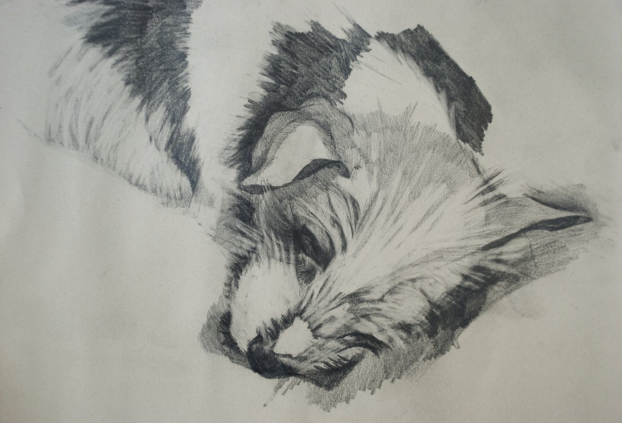 Jack Russel by Lou Gibbs