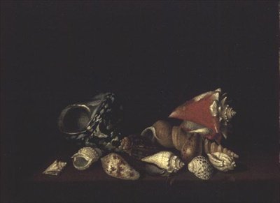 Still Life of Shells on a Ledge by Louis Hubner