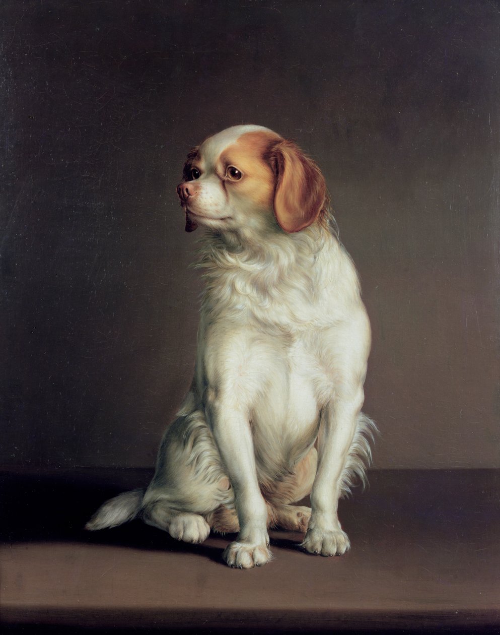 Portrait of a King Charles Spaniel by Louis Leopold Boilly