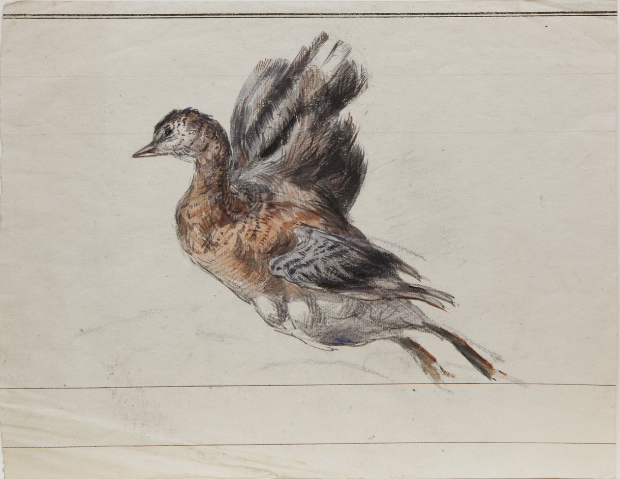 Drawing by Louis Marie Faudacq