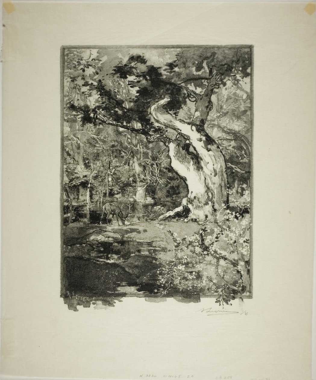 The Clovis, Bellecroix Plateau by Louis Auguste Lepère