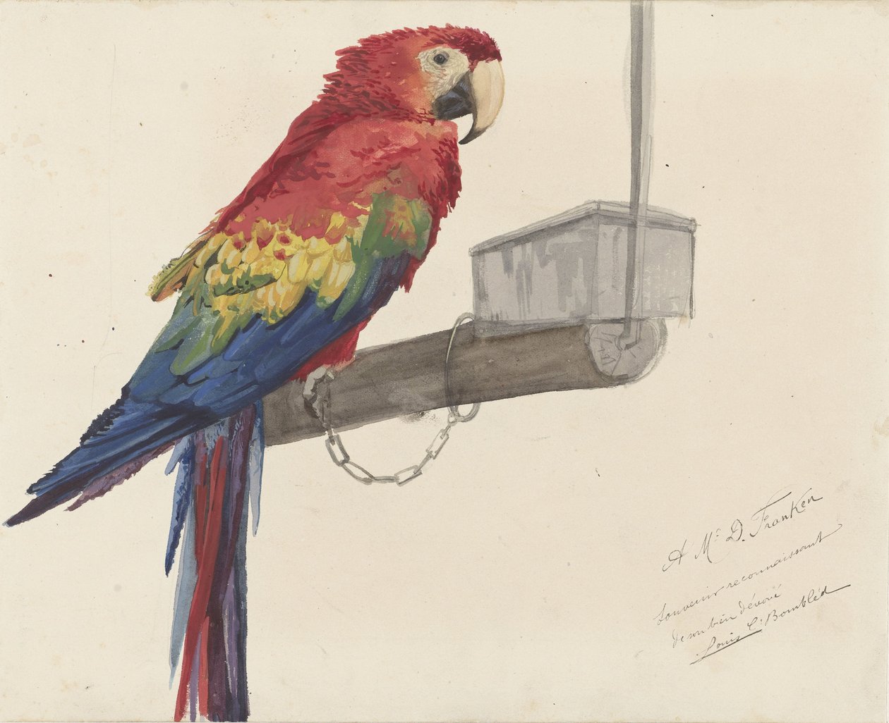 Parrot by Louis Charles Bombled