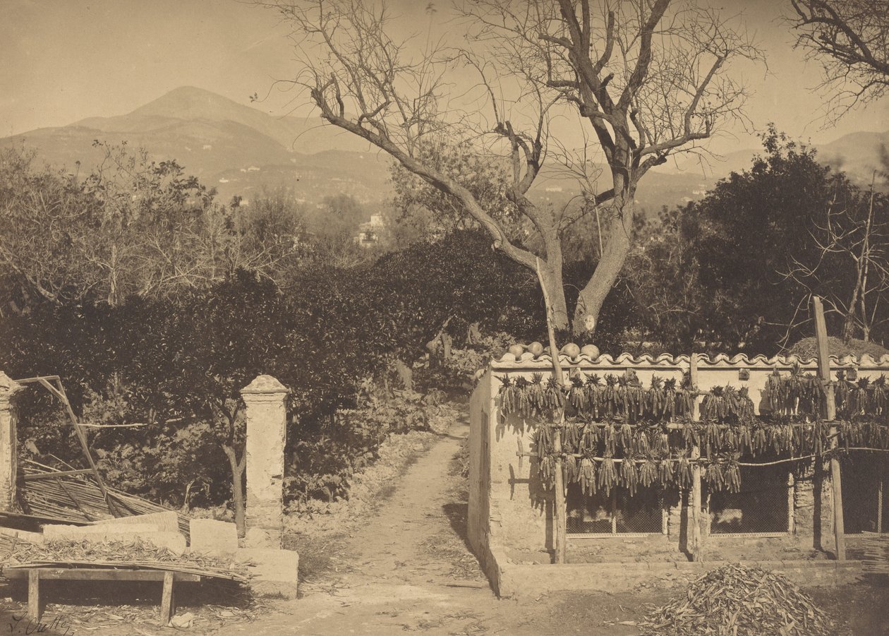 Agricultural Scene with Mountains by Louis Crette