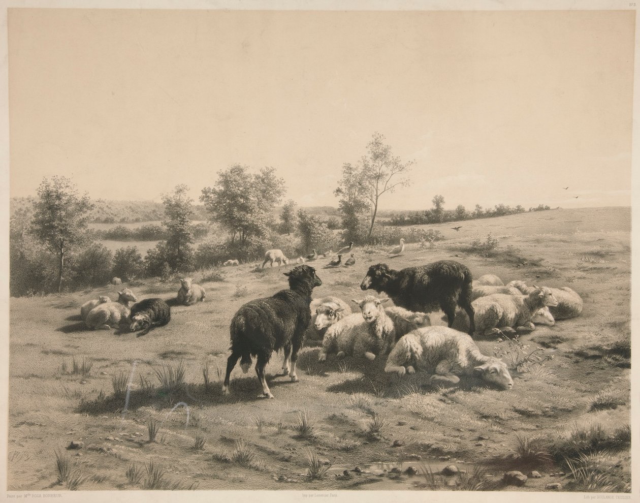 The Sheep by Louis Emmanuel Soulange Teissier