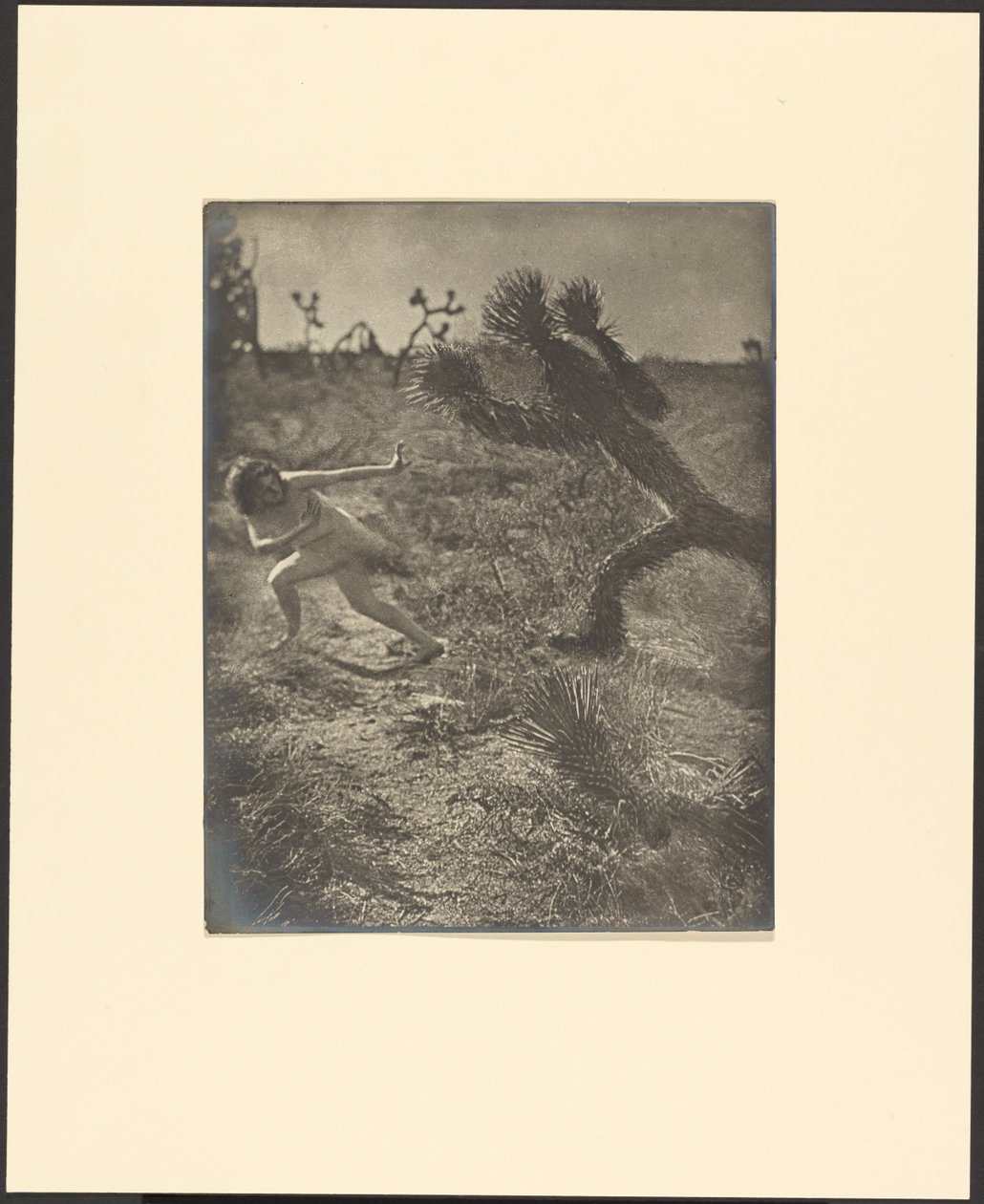Bogey Man of the Desert by Louis Fleckenstein