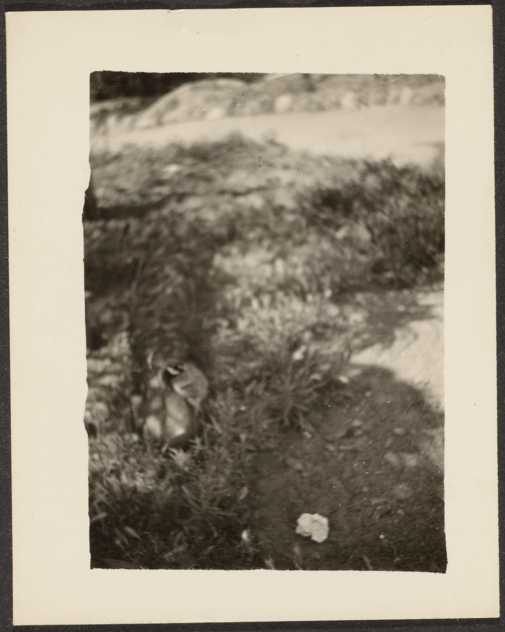Duck in Landscape by Louis Fleckenstein