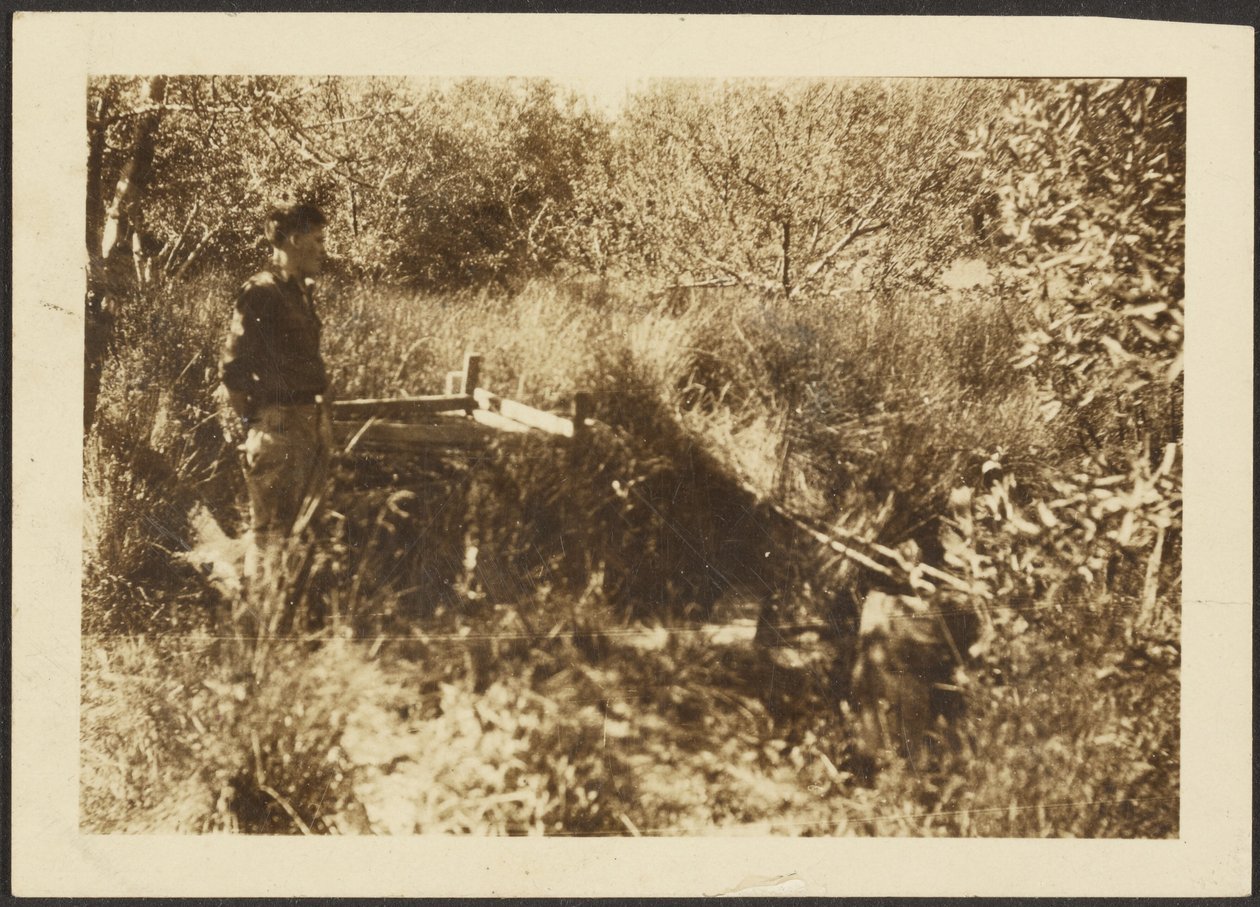 Figure Landscape by Louis Fleckenstein