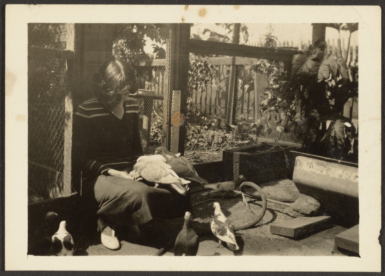 Florence with Pigeons by Louis Fleckenstein
