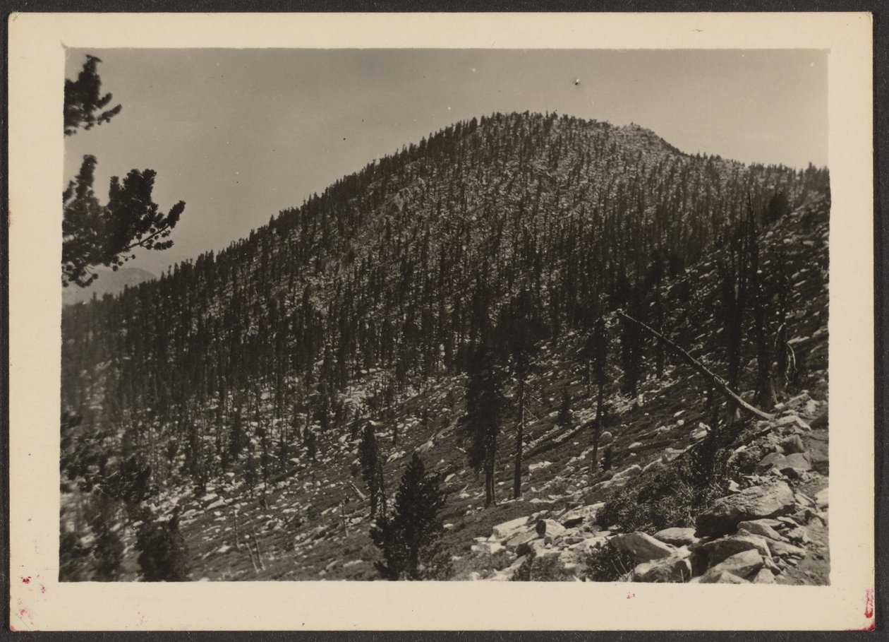 Jean Peak from Trail by Louis Fleckenstein