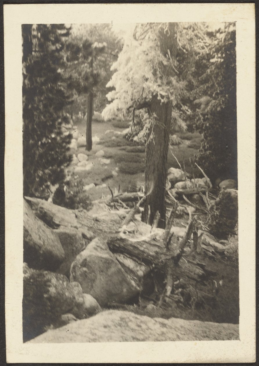 Landscape by Louis Fleckenstein