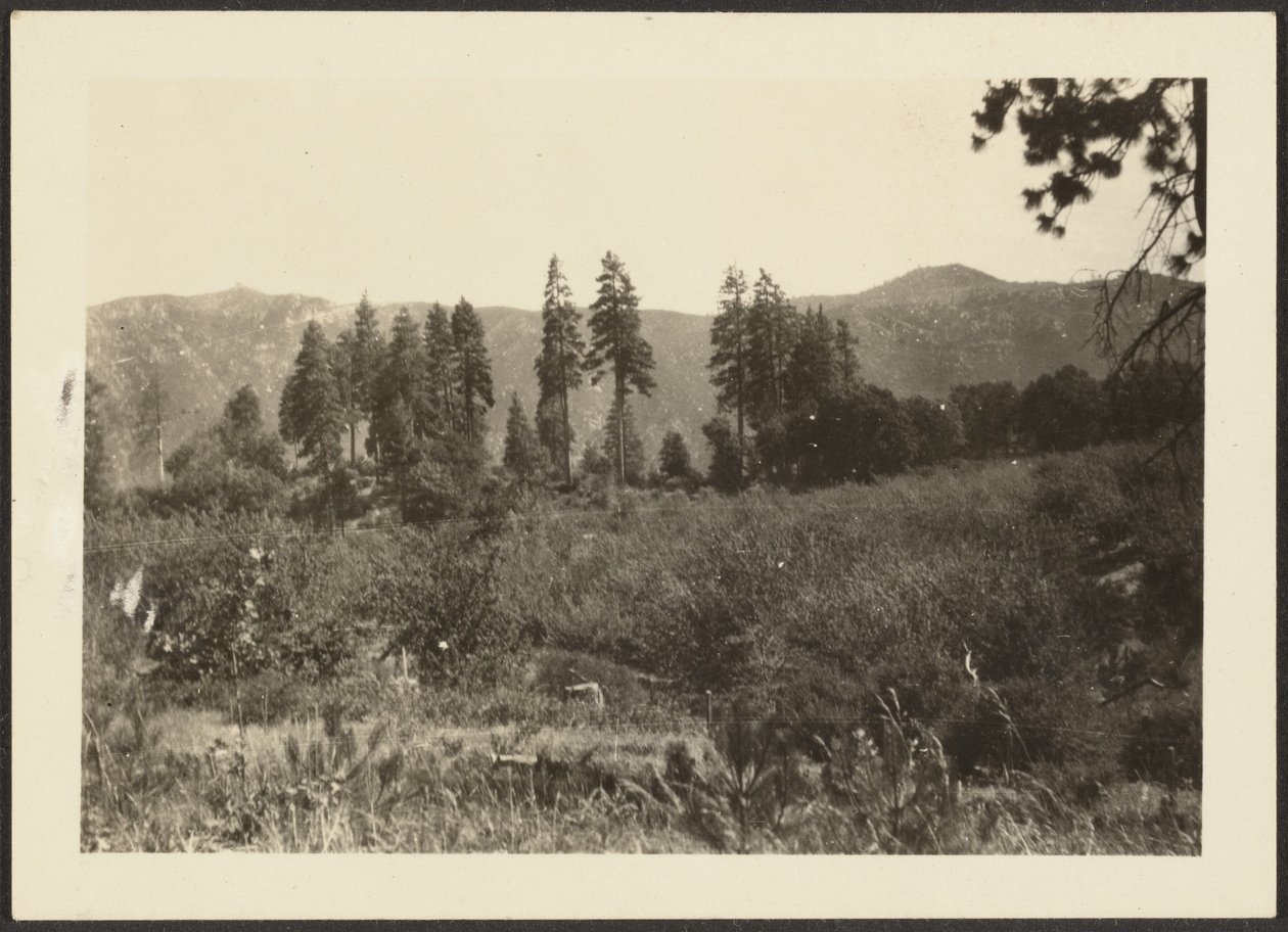 Landscape by Louis Fleckenstein