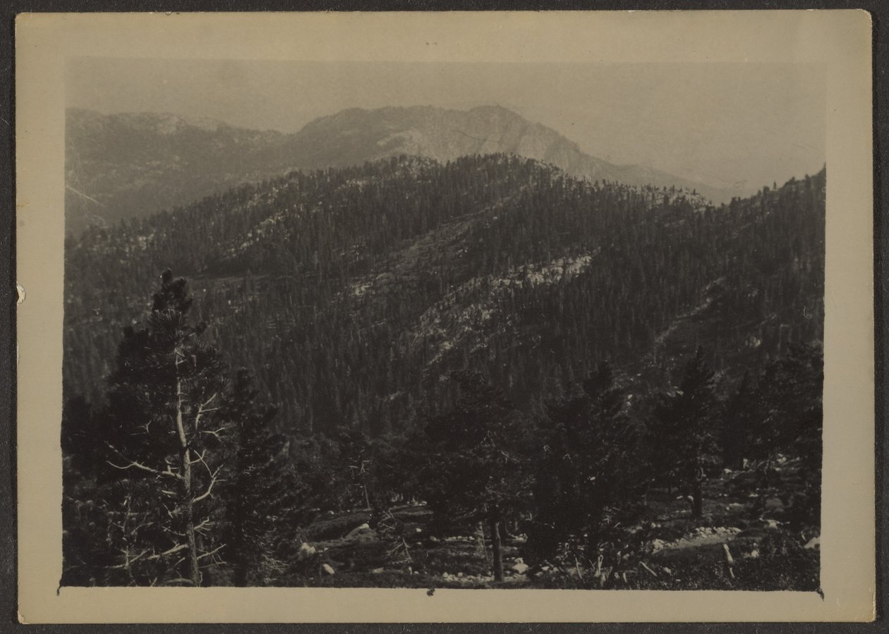 Landscape by Louis Fleckenstein