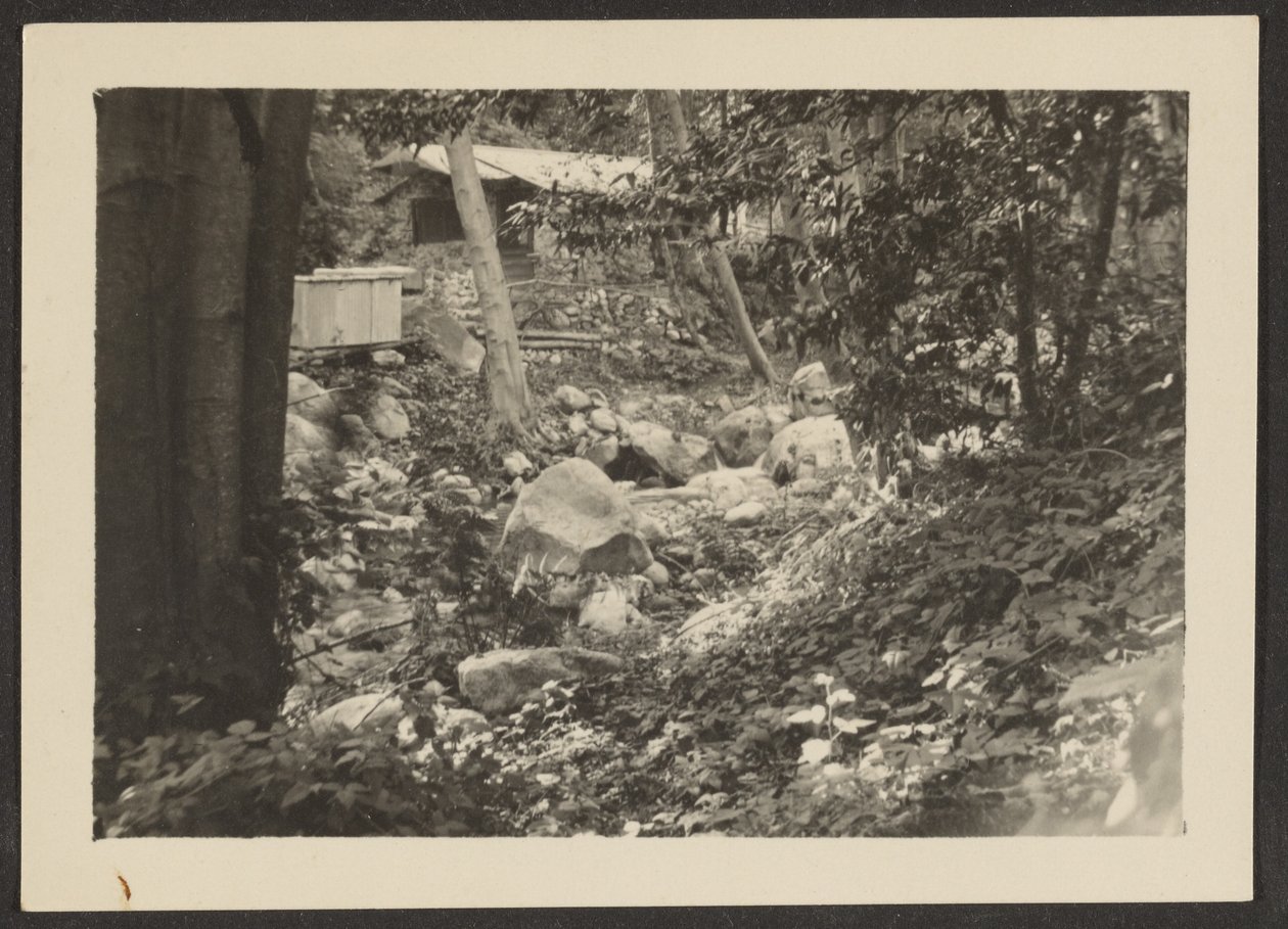 Landscape by Louis Fleckenstein