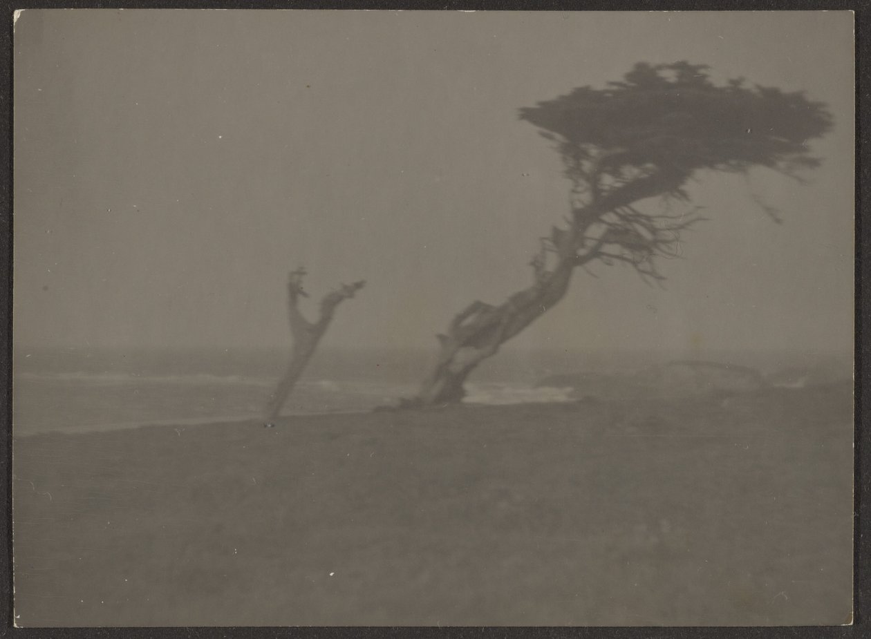 Landscape by Louis Fleckenstein