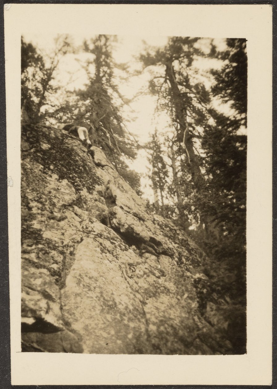 Landscape by Louis Fleckenstein