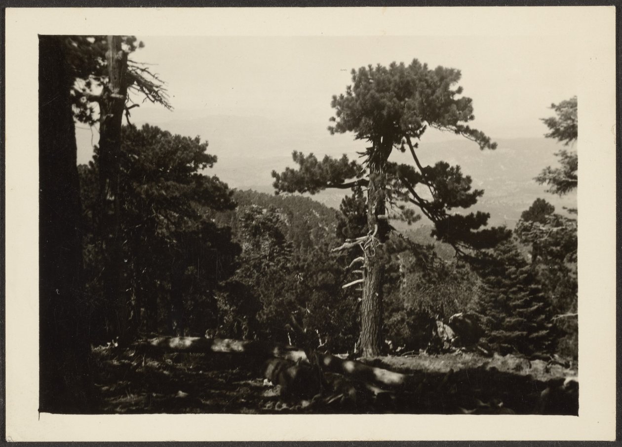 Landscape by Louis Fleckenstein