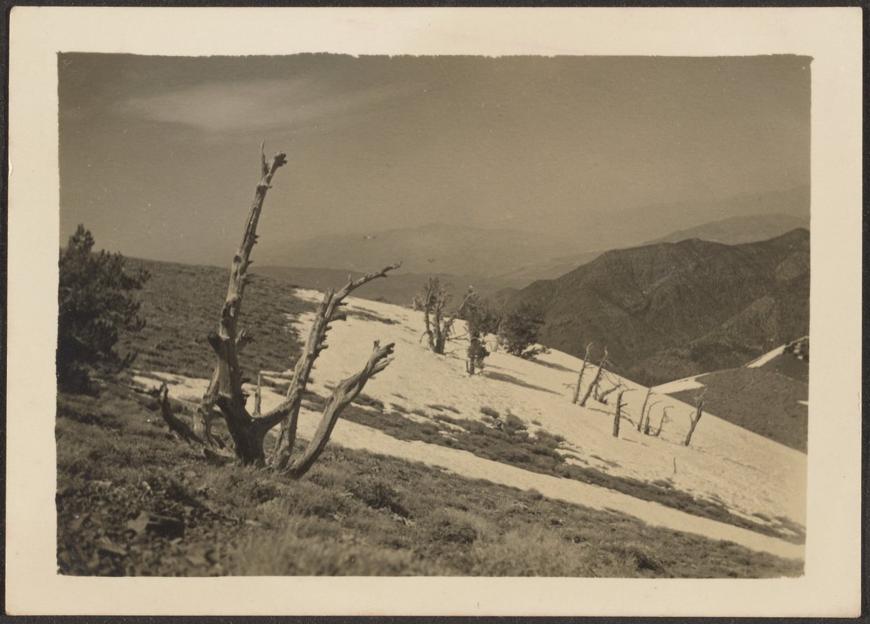 Landscape by Louis Fleckenstein