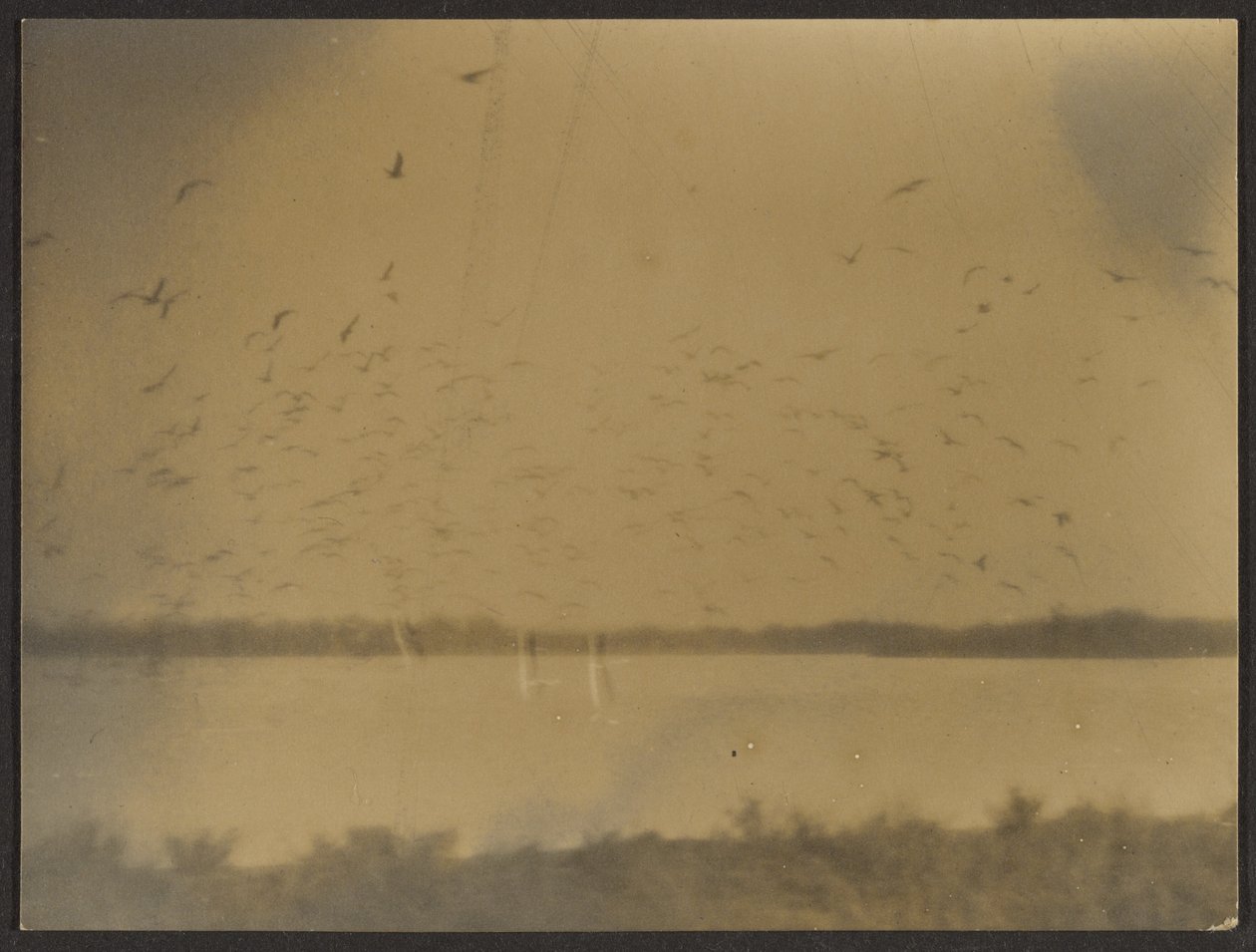 Landscape with Birds by Louis Fleckenstein