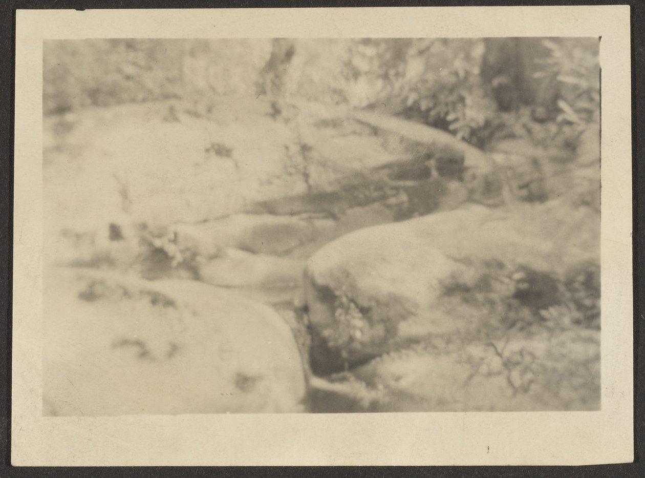 Landscape with Boulders by Louis Fleckenstein