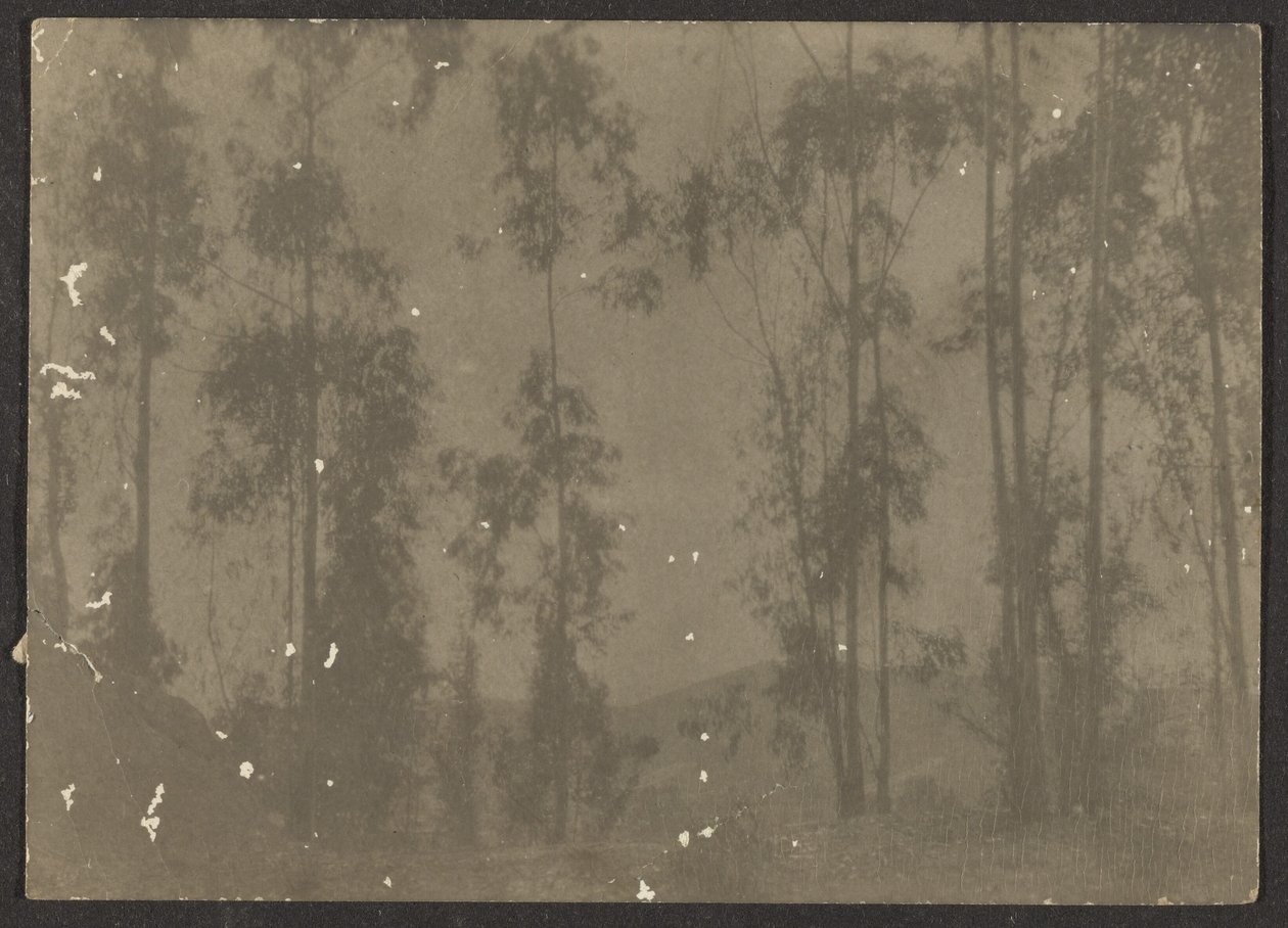 Landscape with Tall Trees by Louis Fleckenstein