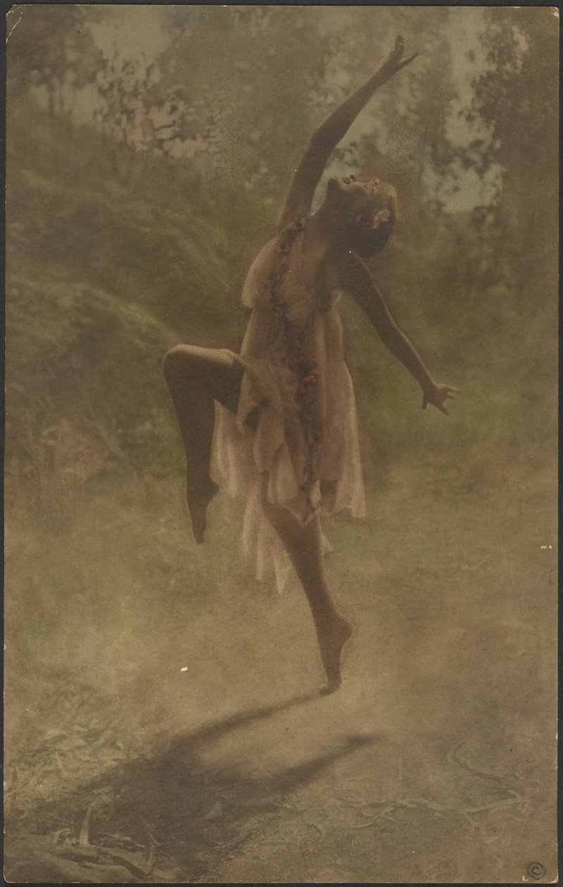 Rose Dance of the South by Louis Fleckenstein