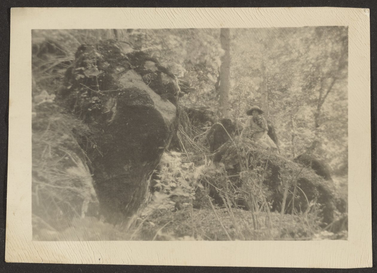Woman on Rocks in Woods by Louis Fleckenstein