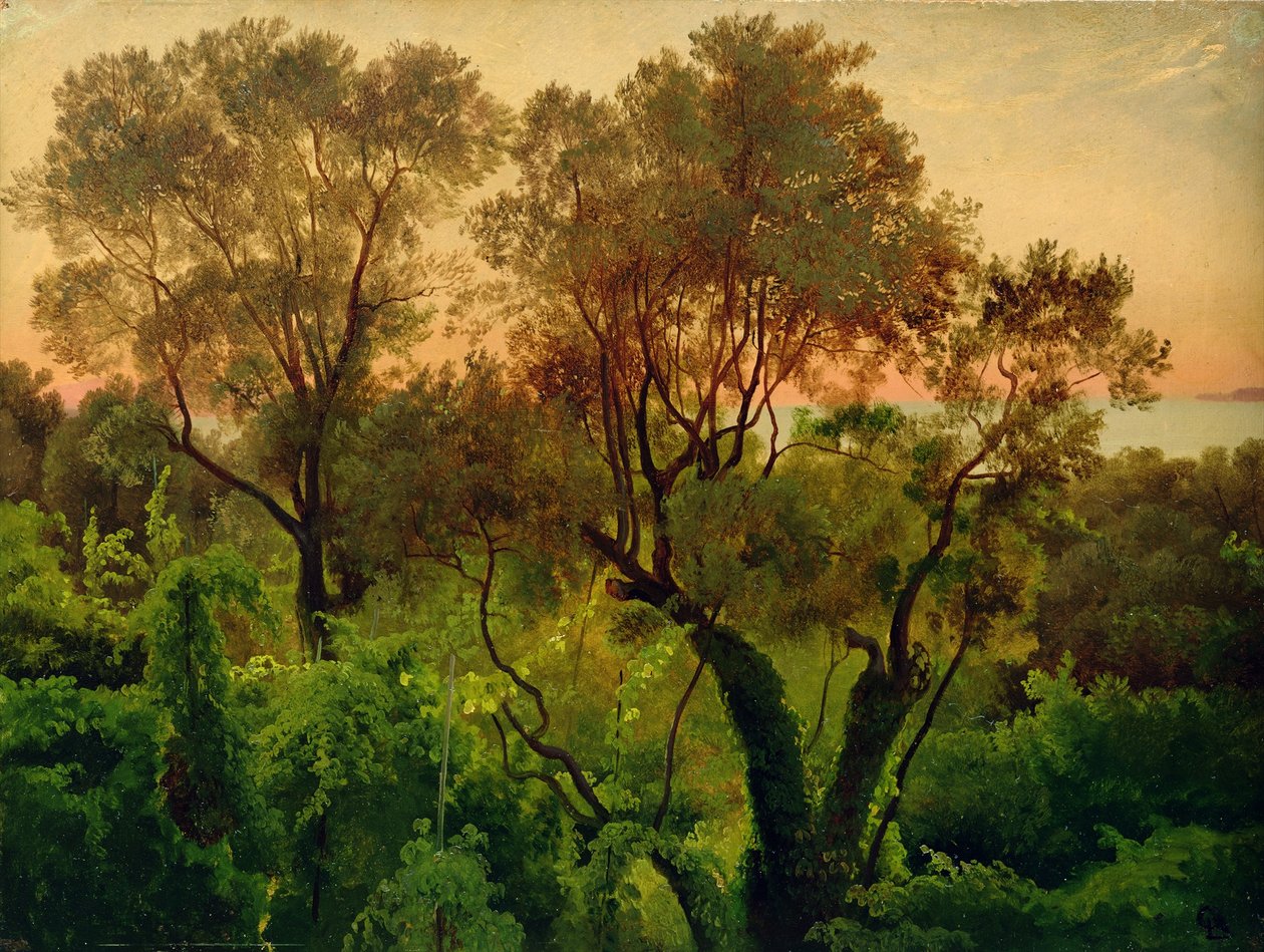 Slope with Olive Trees by Louis Gurlitt