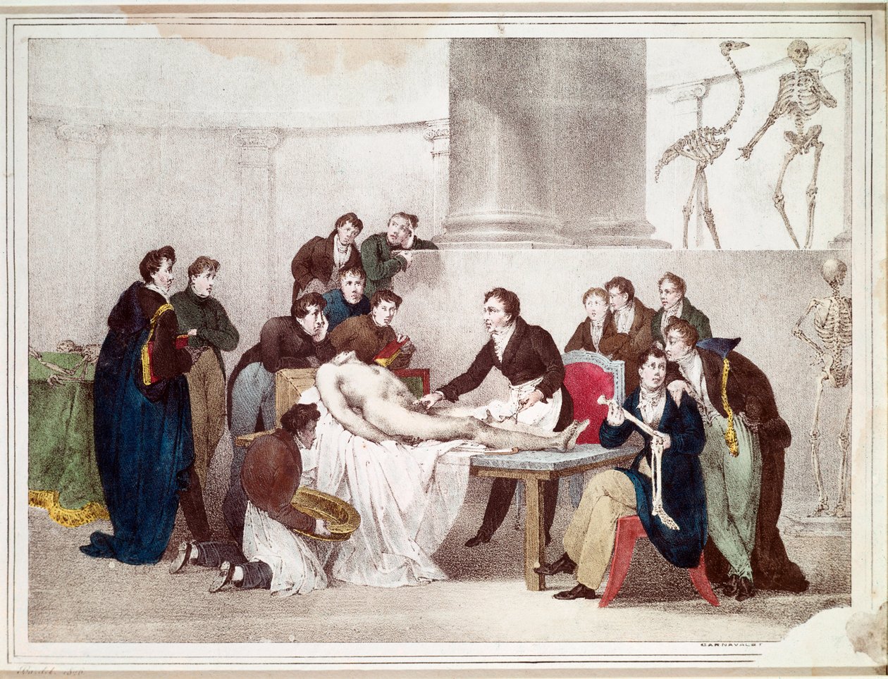 The Anatomy Lesson by Louis Thomas Bardel