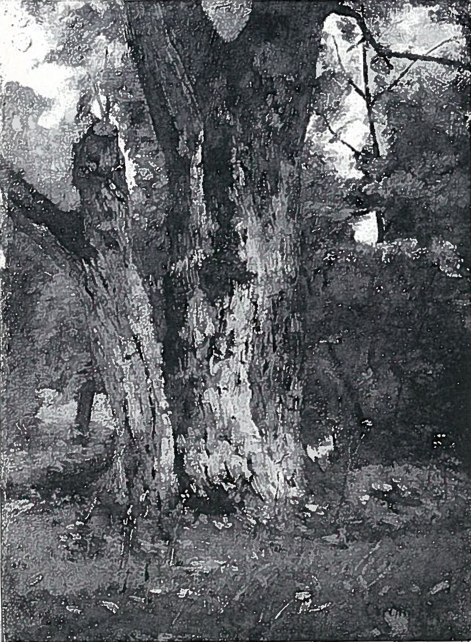 Park in Konigsberg by Lovis Corinth