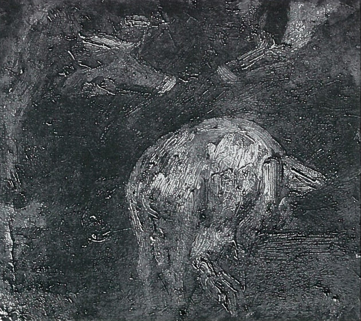 Pig Studies by Lovis Corinth