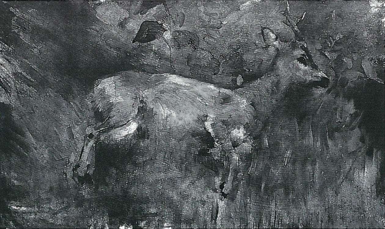 Dead Roe Deer by Lovis Corinth