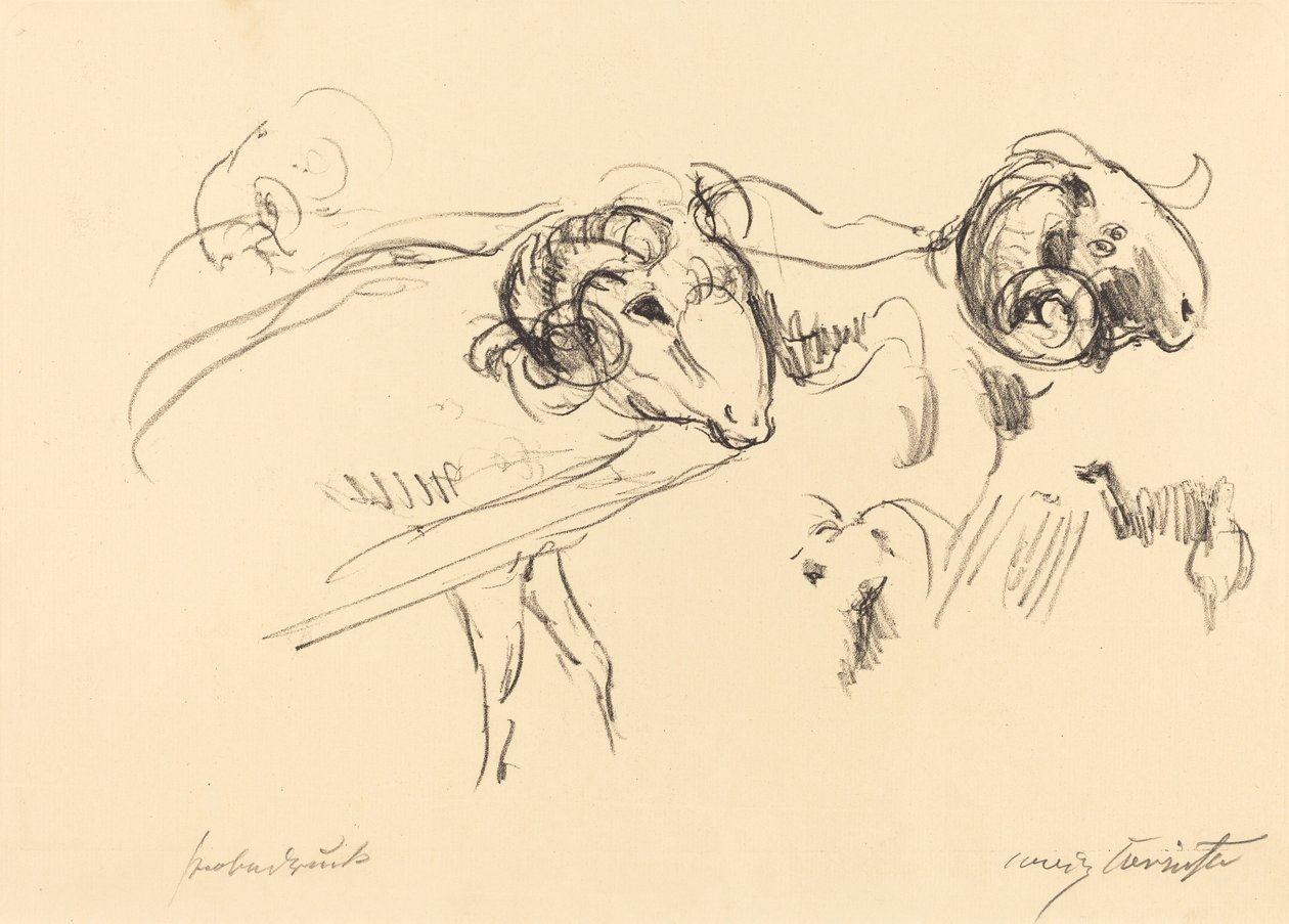 Rams by Lovis Corinth