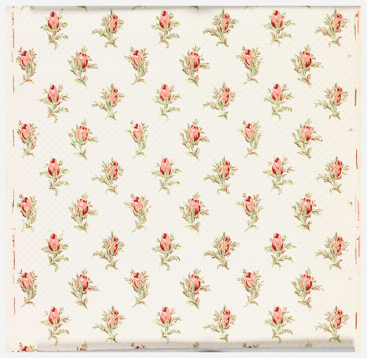 Sidewall by Ltd. Made by Cole and Son