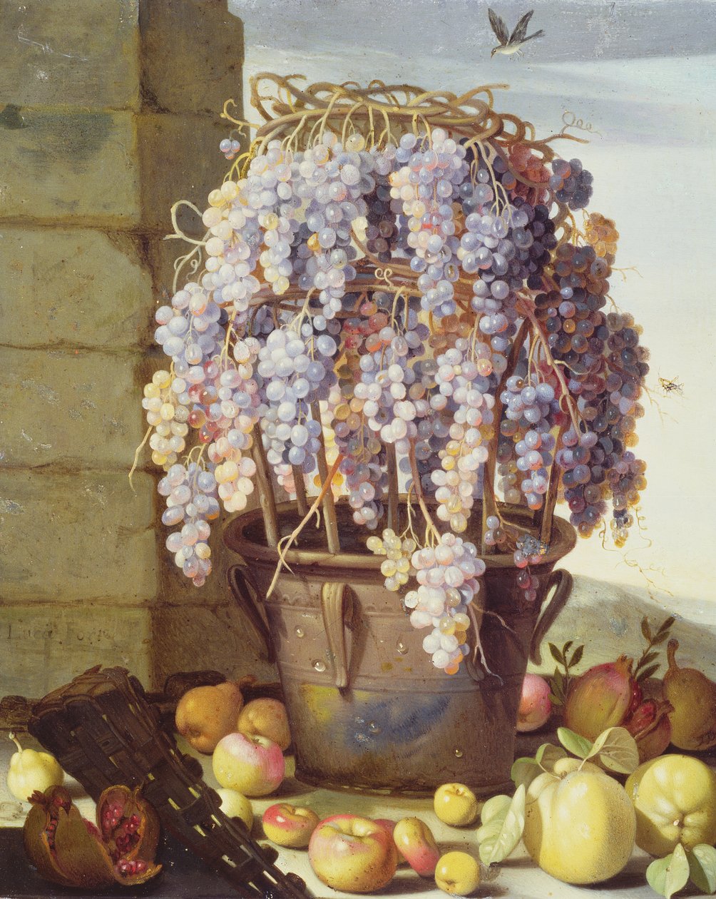 Still Life of Fruit and Grapes by Luca Forte
