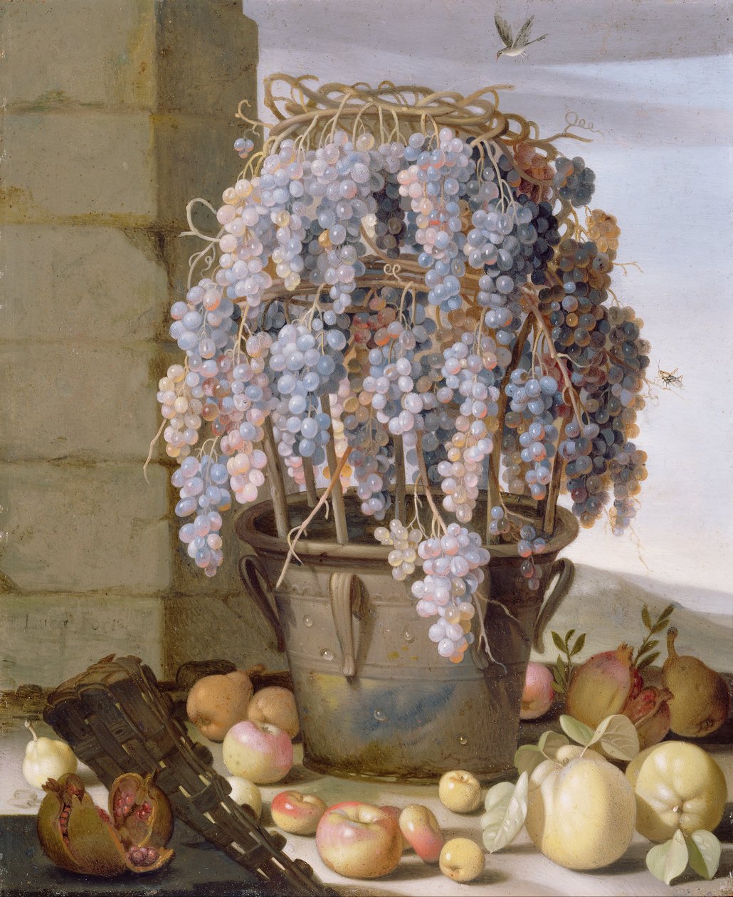 Still Life with Grapes and Other Fruit by Luca Forte