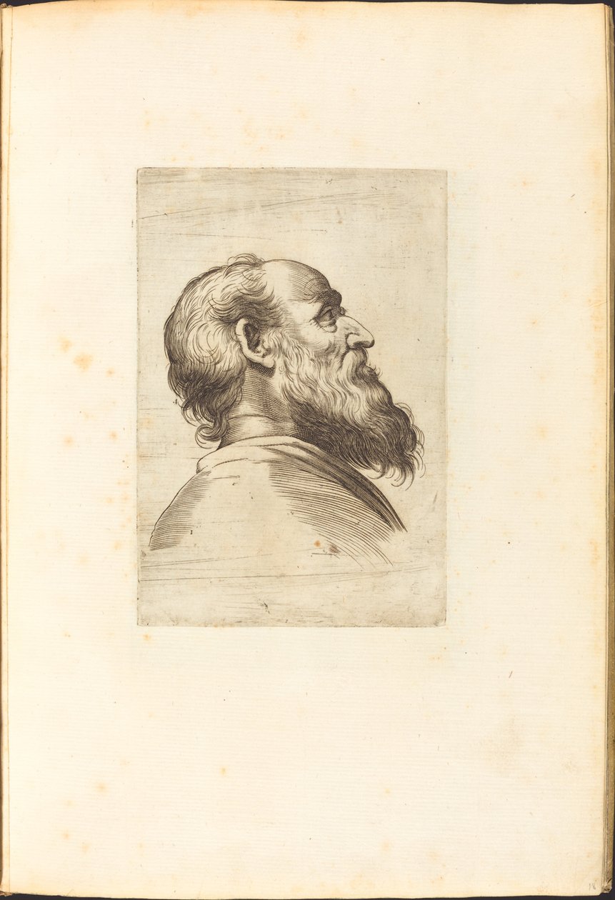 Print from Drawing Book by Luca Ciamberlano