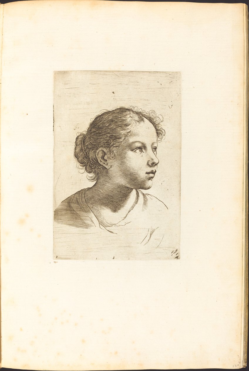 Print from Drawing Book by Luca Ciamberlano