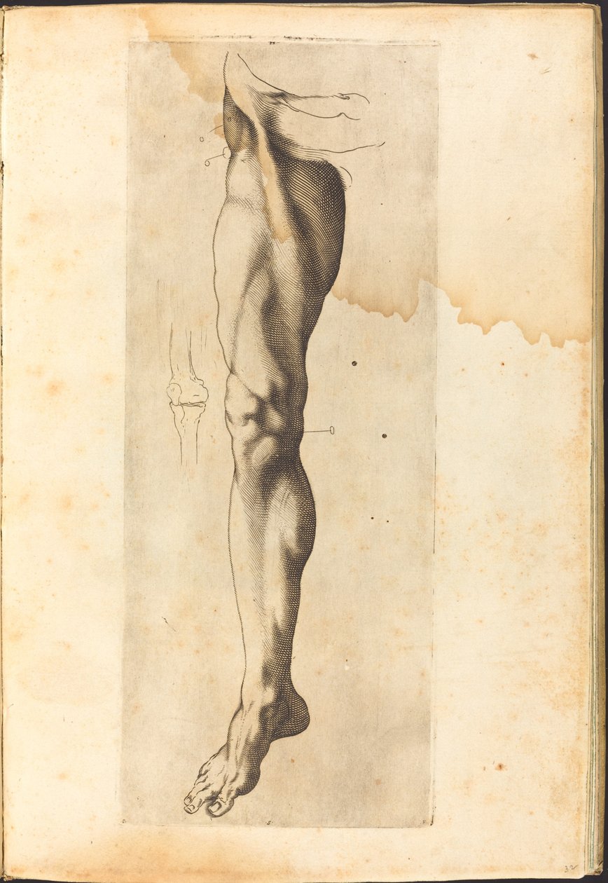 Print from Drawing Book by Luca Ciamberlano
