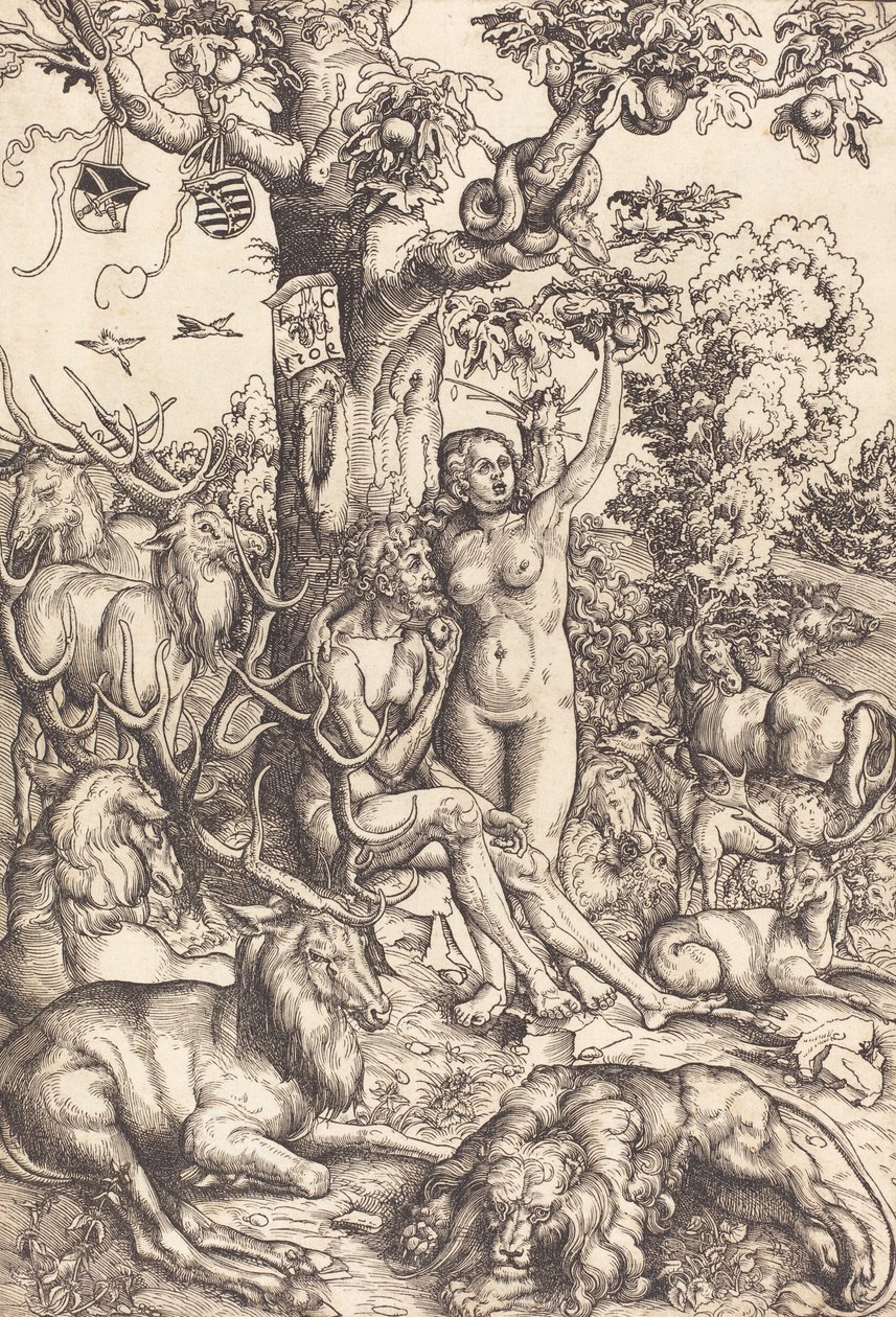Adam and Eve by Lucas Cranach the Elder