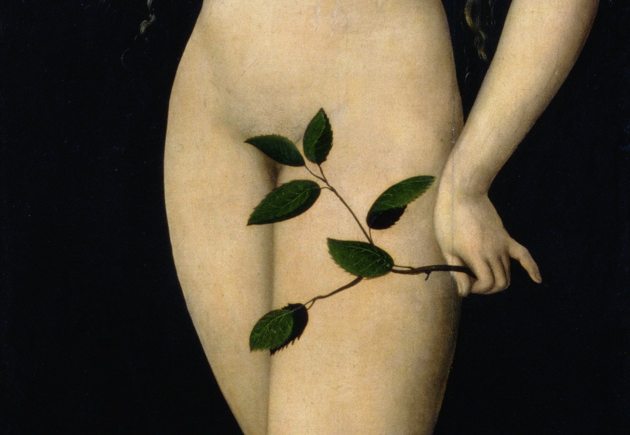 Eve, 1528 (detail) by Lucas Cranach the Elder