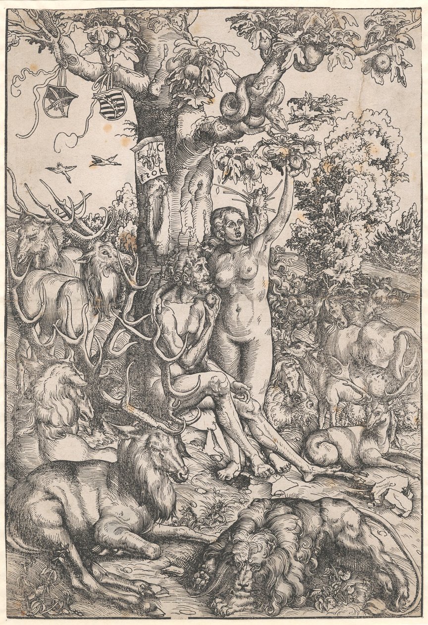The Fall of Man by Lucas Cranach d.Æ.