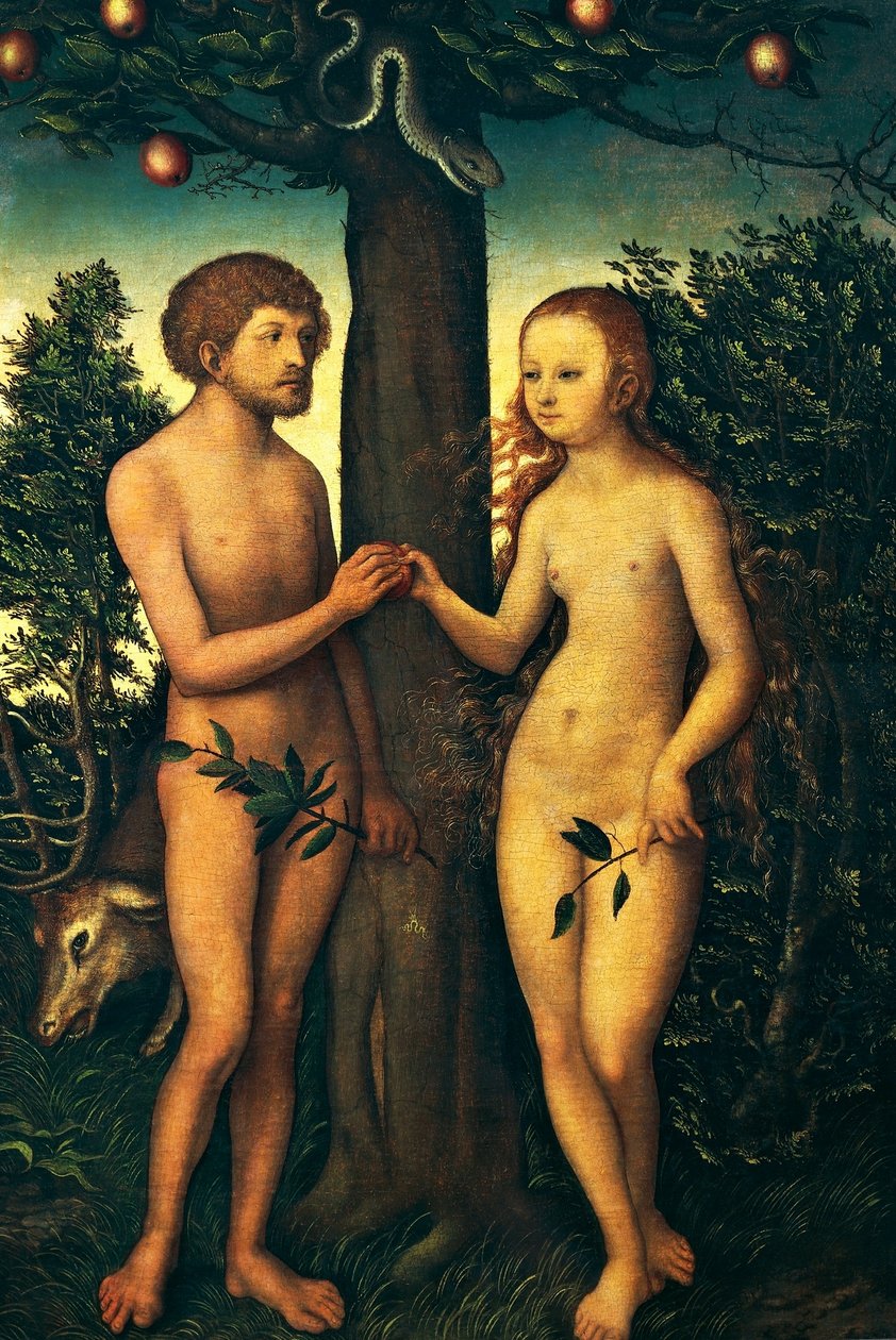 Adam and Eve by Lucas Cranach the Elder