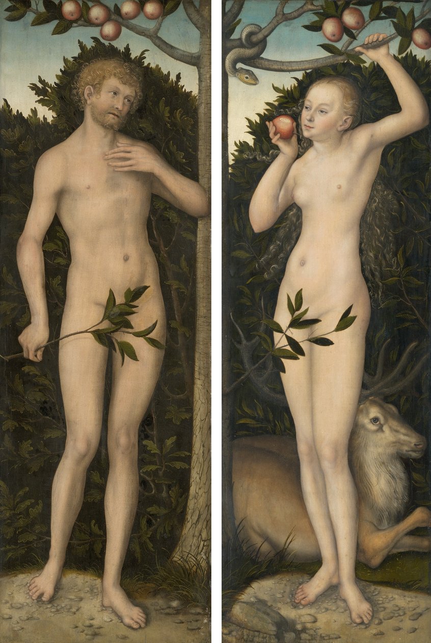Adam and Eve by Lucas Cranach the Elder